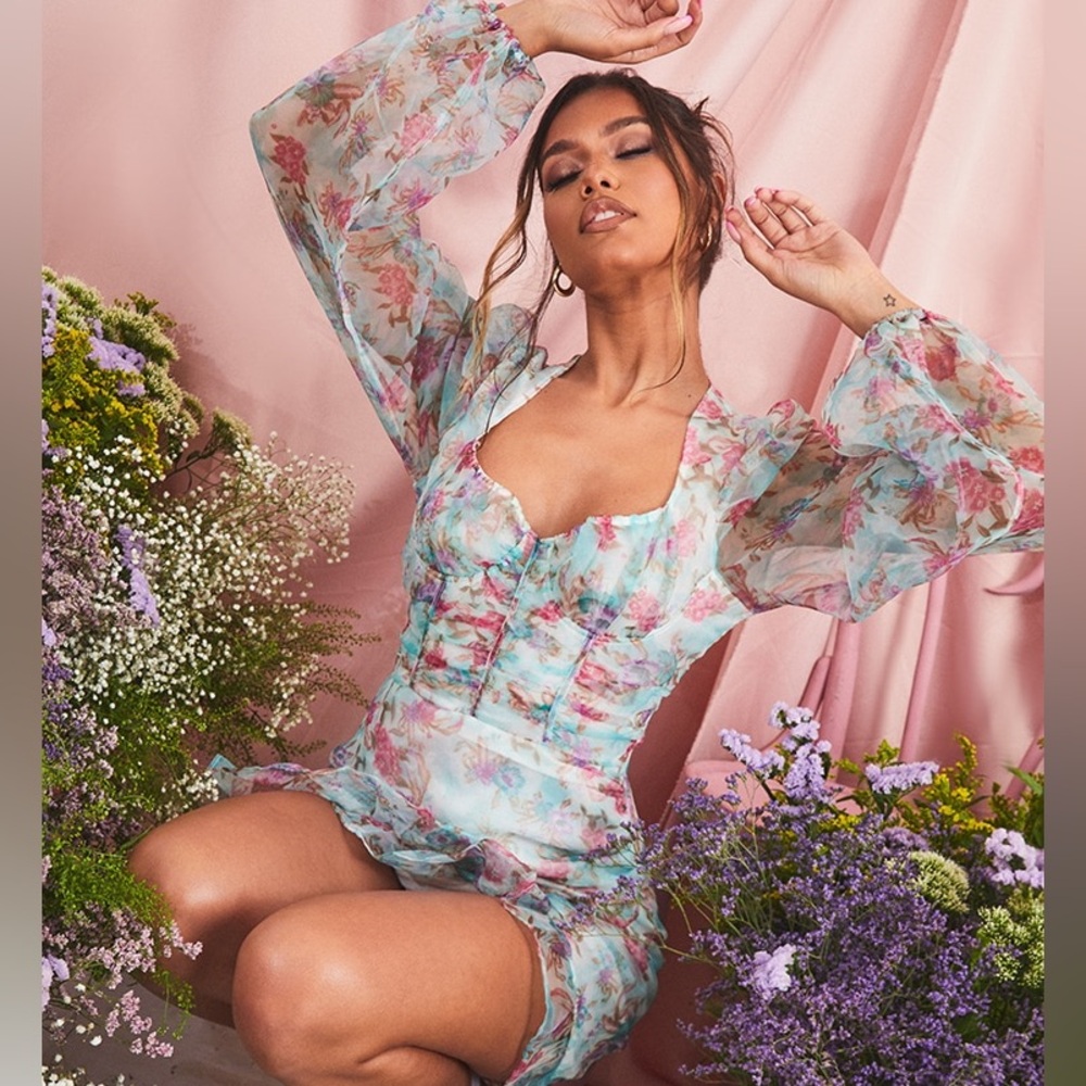 Pretty Little Thing Fairy Sheer Floral Corset Mini Dress - Picture 2 of 7
